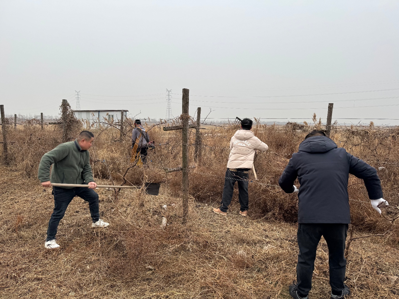 微信圖片_20260108091726_6_43